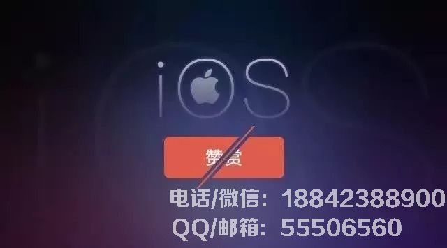 1535426966379755.jpg